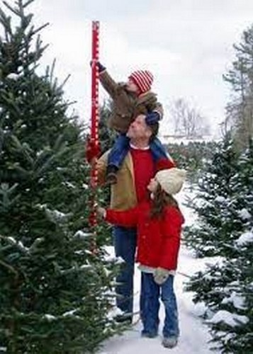 christmas tree with family measuring tree size